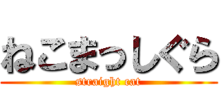 ねこまっしぐら (straight cat)