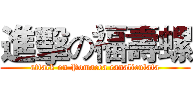 進擊の福壽螺 (attack on Pomacea canaliculata)