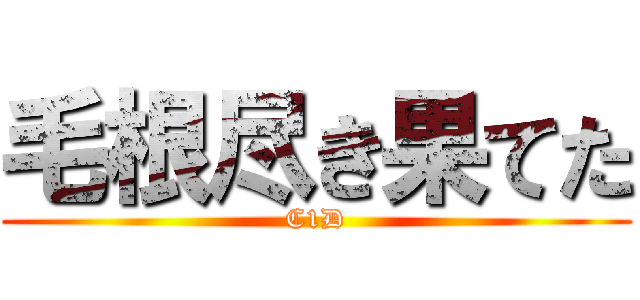 毛根尽き果てた (C1D)
