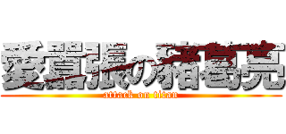 愛囂張の豬葛亮 (attack on titan)