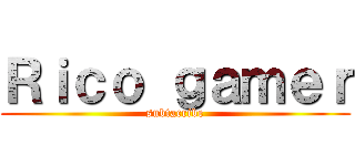 Ｒｉｃｏ ｇａｍｅｒ (subtacribe)