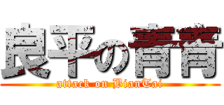 良平の青青 (attack on BianTai)