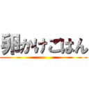 卵かけごはん ()