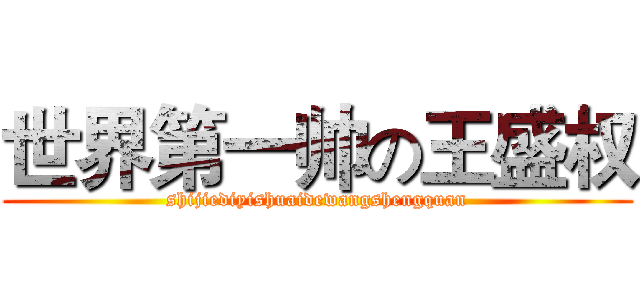 世界第一帅の王盛权 (shijiediyishuaidewangshengquan)