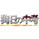 狗日の中考 (f**k )