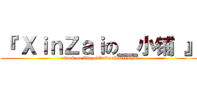 『 ＸｉｎＺａｉの＿小铺 』 (attack on XinzaiOnlineLittleShop)