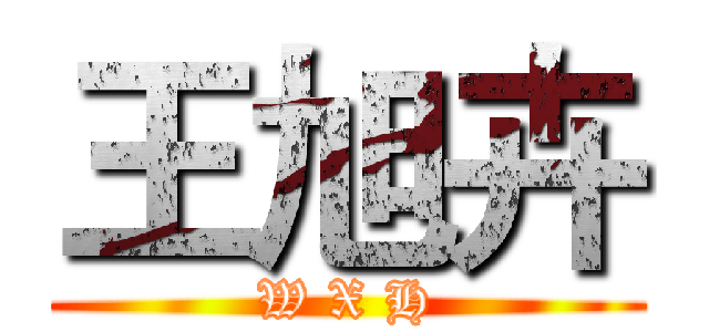 王旭卉 (W X H)