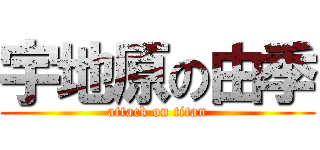 宇地原の由季 (attack on titan)