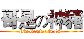 哥是の神豬 (Pig Brother is God)