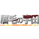 眉毛の宇田 (attack on titan)