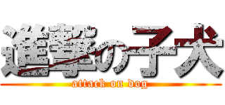 進撃の子犬 (attack on dog)