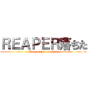 ＲＥＡＰＥＲ落ちた (Reaper has crashed)