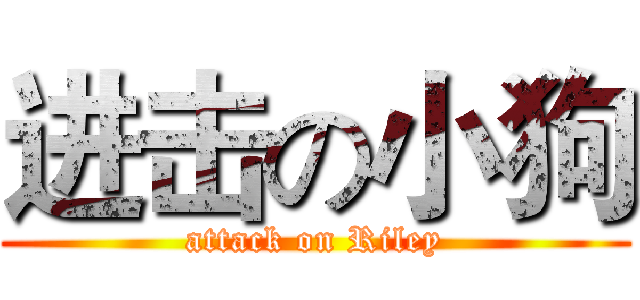 进击の小狗 (attack on Riley)