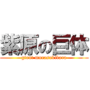 紫原の巨体 (giant murasakibara)