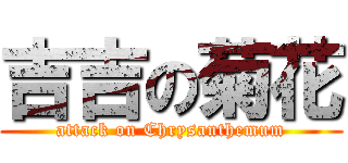 吉吉の菊花 (attack on Chrysanthemum)