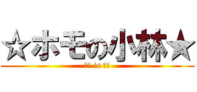 ☆ホモの小林★ (小林 is ホモ)