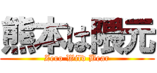 熊本は隈元 (Zero Wild Bear)