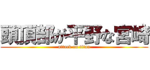 頭頂部が平野な宮崎 (attack on titan)