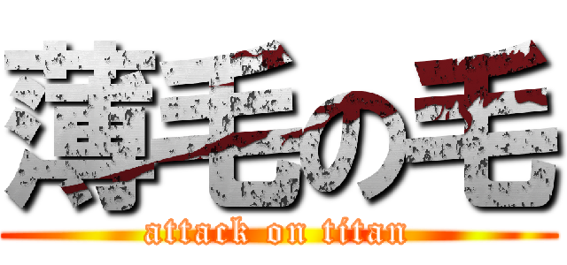 薄毛の毛 (attack on titan)