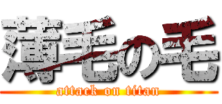 薄毛の毛 (attack on titan)