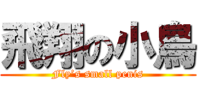 飛翔の小鳥 (Fly’s small penis)