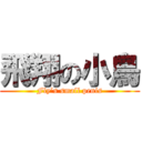 飛翔の小鳥 (Fly’s small penis)