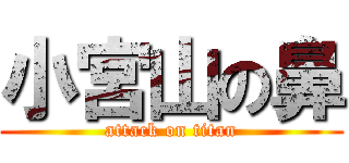 小宮山の鼻 (attack on titan)