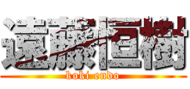 遠藤恒樹 (koki endo)