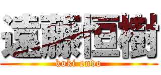 遠藤恒樹 (koki endo)