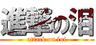 進撃の泪 (attack on lui)