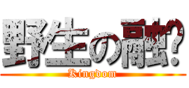 野生の融啊 (Kingdom)
