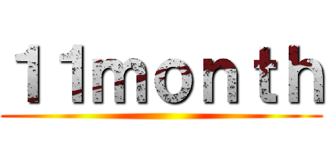 １１ｍｏｎｔｈ ()