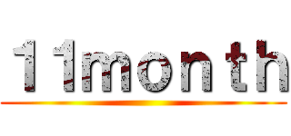 １１ｍｏｎｔｈ ()