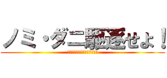 ノミ・ダニ駆逐せよ！ (愛犬の体から一匹残らずっ！！)