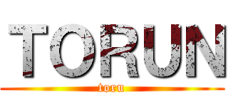 ＴＯＲＵＮ (toru)