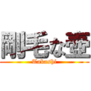 剛毛な壺 (Takashi)