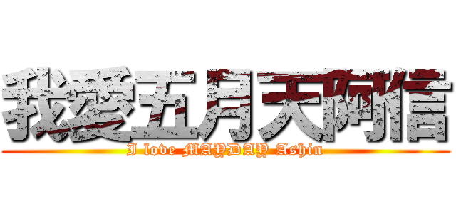 我愛五月天阿信 (I love MAYDAY Ashin)