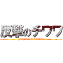 反撃のチワワ (hangeki on tiwawa)