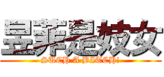 昱菲是妓女 (SUCH A BITCH!)