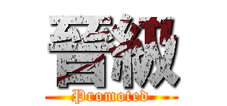 晉級 (Promoted)