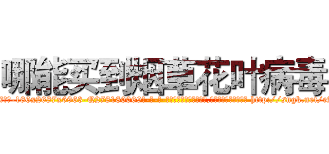 哪能买到烟草花叶病毒 (哪能买到烟草花叶病毒【电-186x2687x6963-Q278180069元-吉-药-业】我们做的是长期生意,靠的是老客户长期支持 http://sngk.net/eAaO3K
)