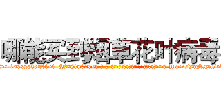 哪能买到烟草花叶病毒 (哪能买到烟草花叶病毒【电-186x2687x6963-Q278180069元-吉-药-业】我们做的是长期生意,靠的是老客户长期支持 http://sngk.net/eAaO3K
)