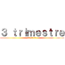 ３ ｔｒｉｍｅｓｔｒｅ (25-02-21)