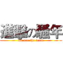 進擊の騷年 (we are the team)