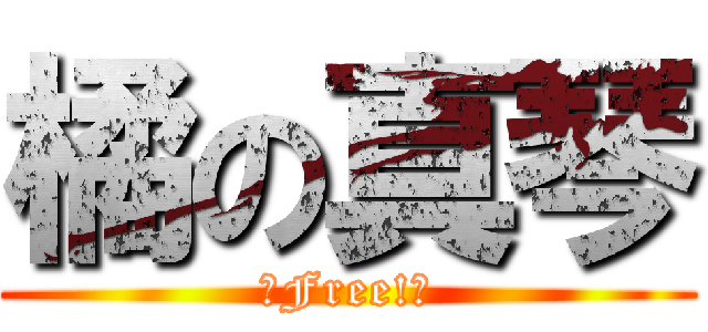 橘の真琴 (〜Free!〜)