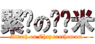 緊雞の囧鎘米 (Attach on Chrysanthemum)