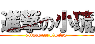 進撃の小琉 (attack on kinawa)