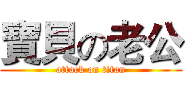 寶貝の老公 (attack on titan)