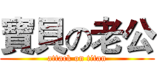 寶貝の老公 (attack on titan)