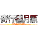 奇行種月原 (CAN・RINA)